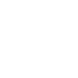 Orchestra